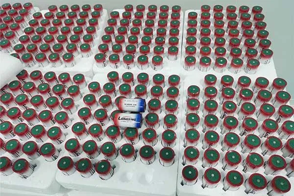 Real delivery order from manufacturing of Li-MnO2 battery