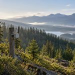 Remote wildfire detection sensor monitoring a forest environment